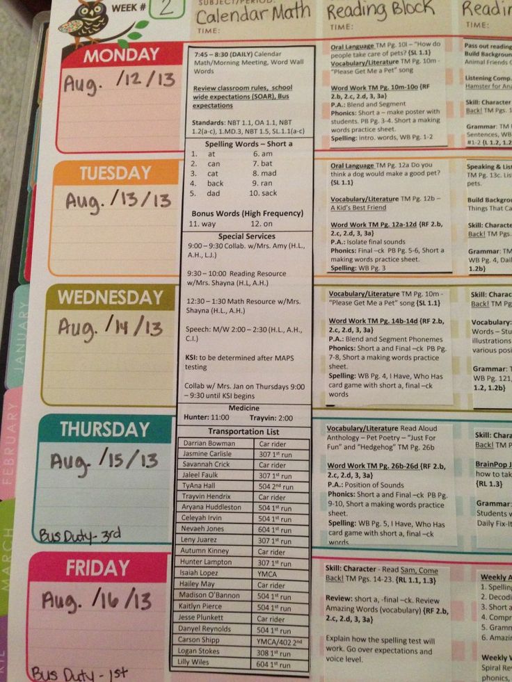 an open planner is shown with the daily schedule for each month on it's side