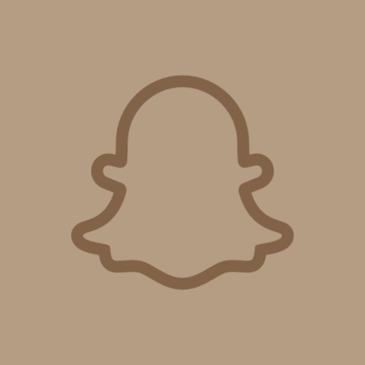 an image of a snap icon on a brown background