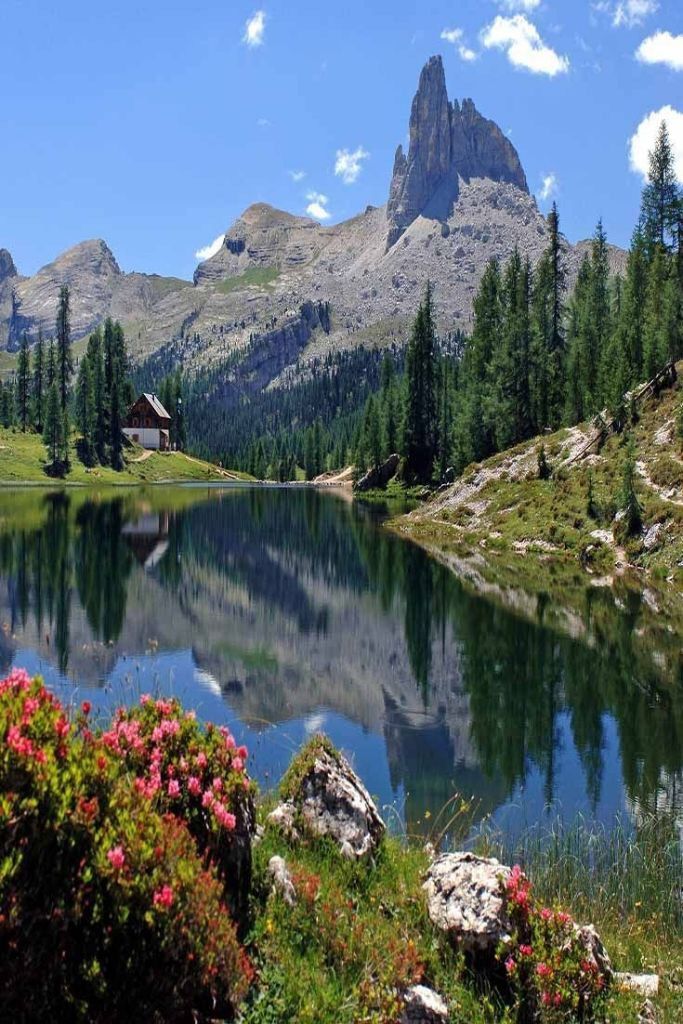 a mountain lake surrounded by trees and flowers