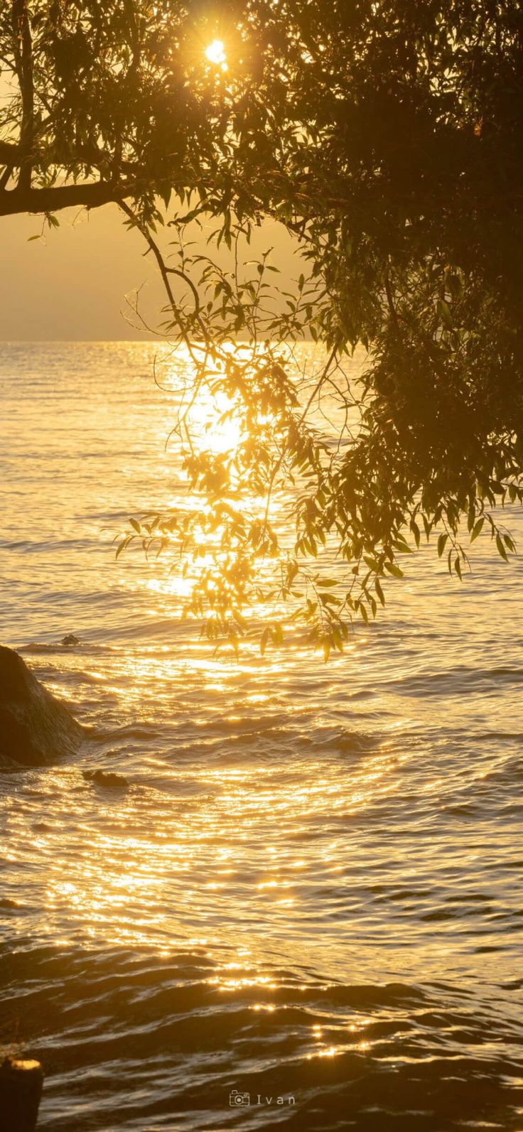 the sun is setting over the water and trees