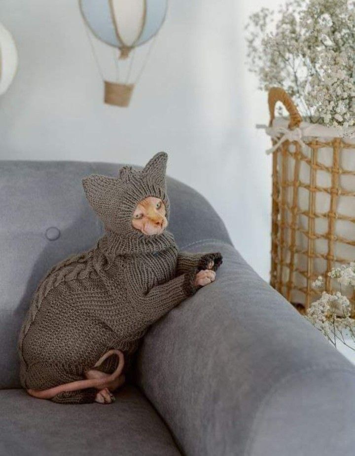 a stuffed animal sitting on top of a gray couch