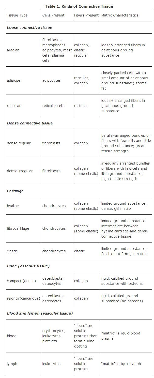 a table with different types of text and numbers on it, including the words in each language