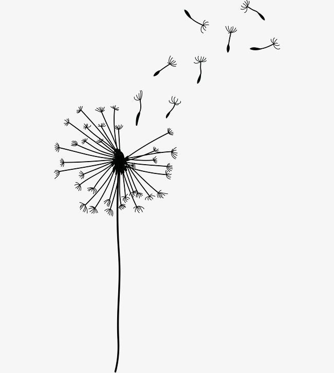 a dandelion blowing in the wind on a white background