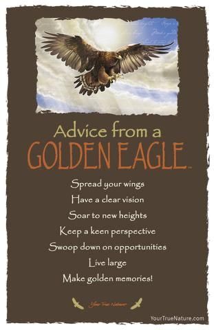 an eagle flying through the sky with words above it that read advice from a golden eagle