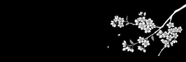 a black and white photo of a branch with flowers in the night time, against a dark background