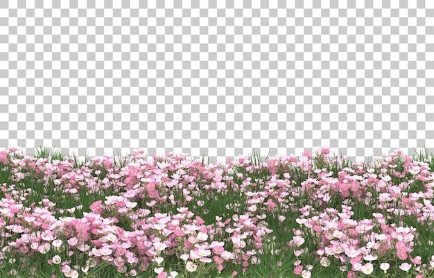 pink and white flowers in a field with grass on the ground, transparent background png clipart