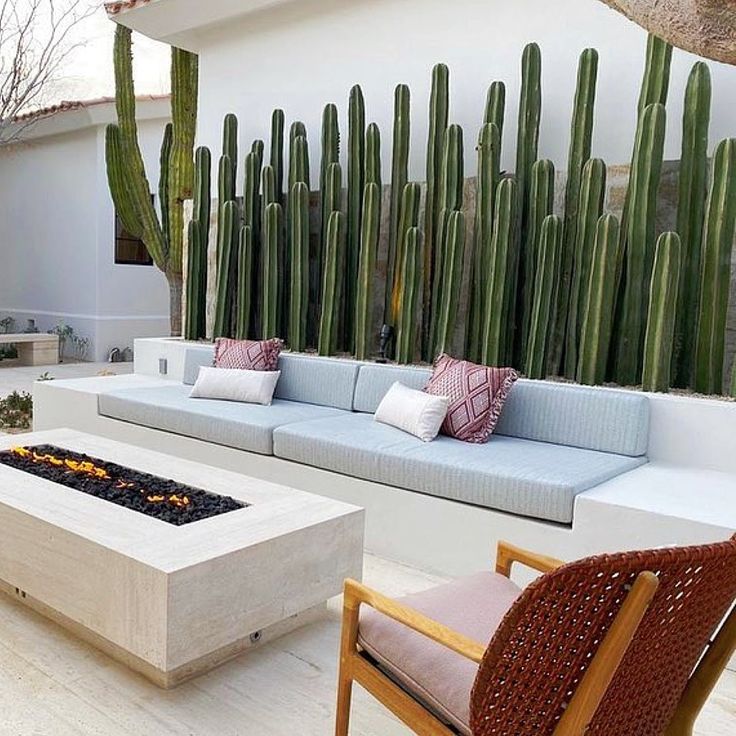 an outdoor living area with couches, fire pit and cacti on the wall