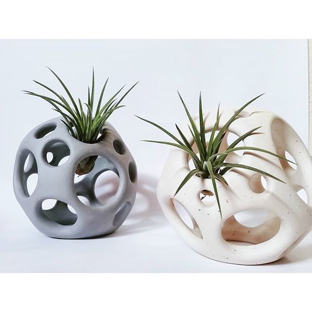 two ceramic vases with air plants in them