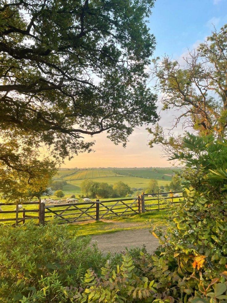 an open gate in the middle of a lush green field with trees on either side