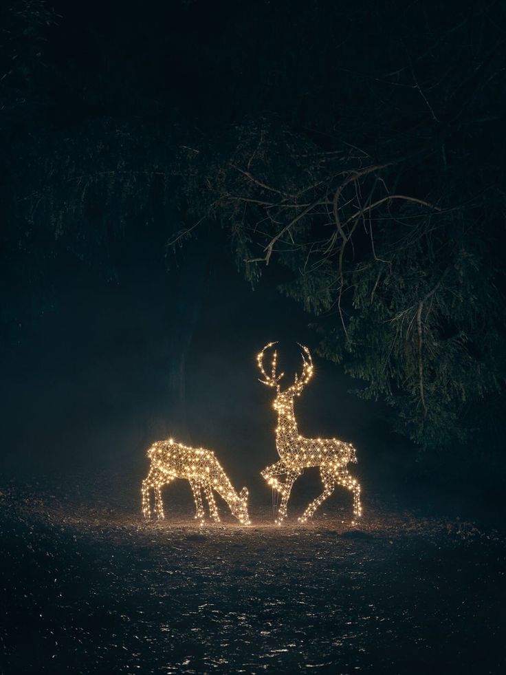 two deer statues in the dark with christmas lights on their backs and antlers standing behind them