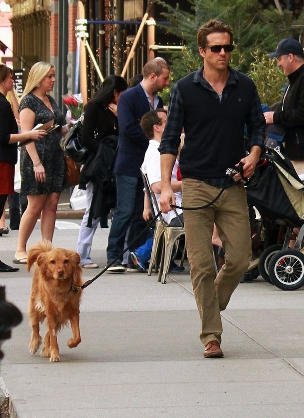 a man walking his dog down the street