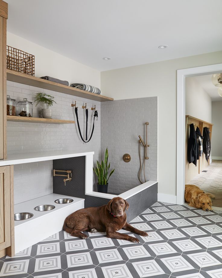 a brown dog laying on top of a tiled floor next to a bathtub and sink