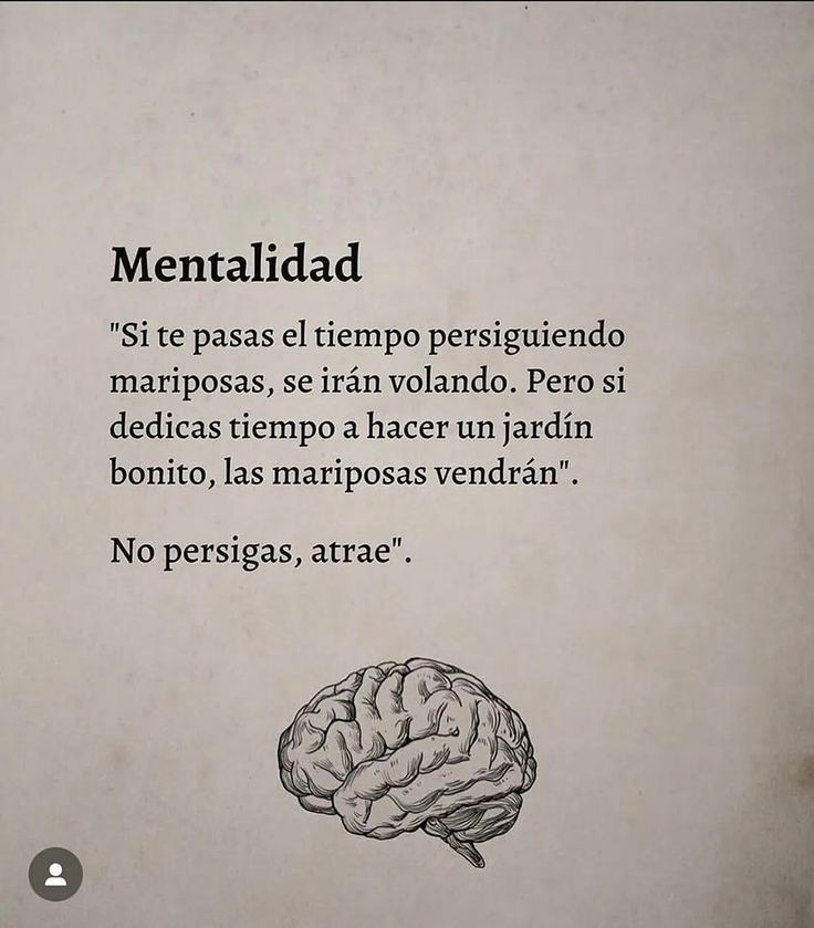 a book with an image of a brain on the front cover and words written in spanish