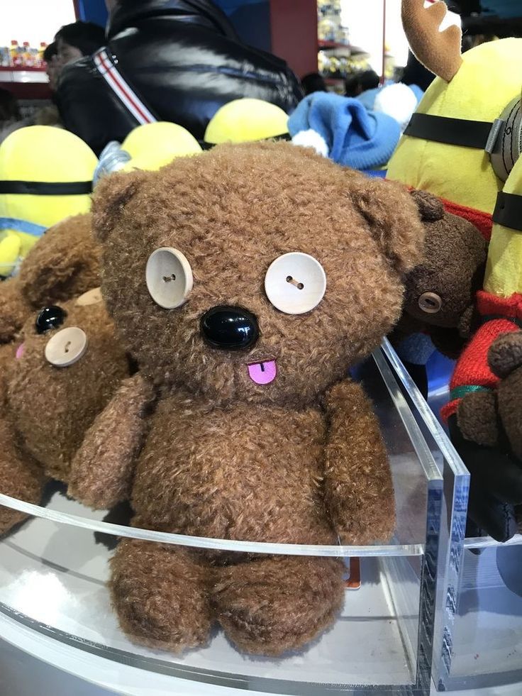 several stuffed animals are on display in a store case, including one brown teddy bear with big eyes