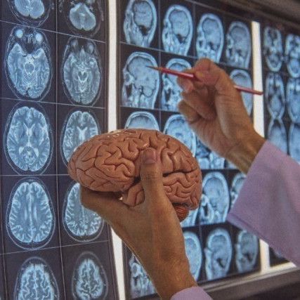 a person holding a pencil in front of a brain scan