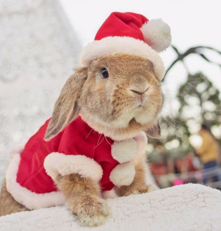 a rabbit wearing a santa claus outfit on top of a snow covered ground with people in the background