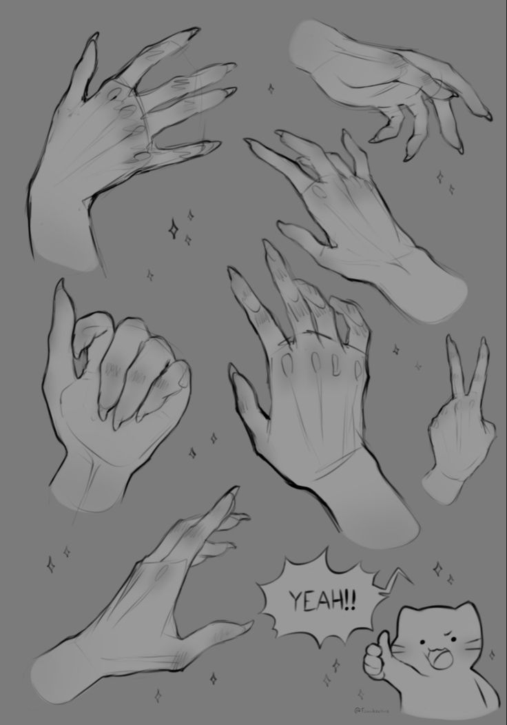 Hand art study Hands Study, Anatomy References, Anatomy Reference, Drawing Base, Drawing Reference, Art Inspo, Art Style, Anatomy, Art Reference