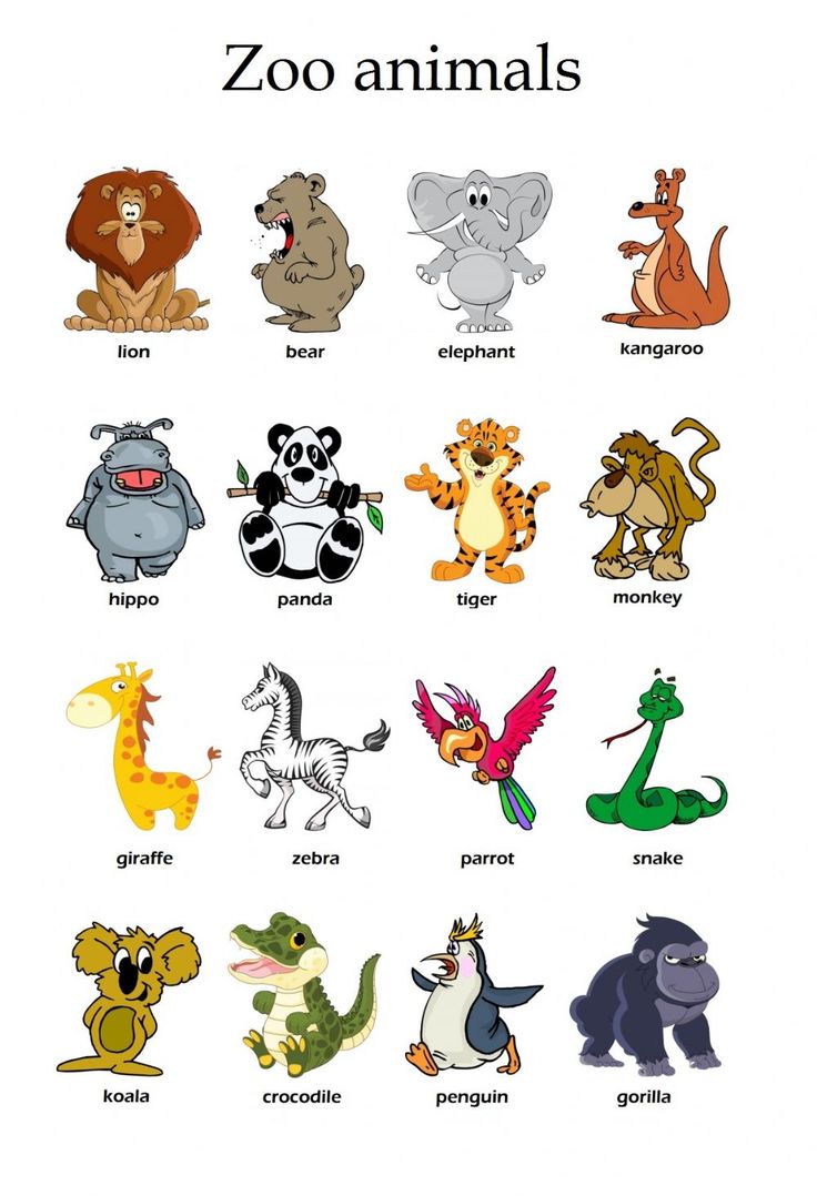 an animal chart with different types of animals in each one's body and the words zoo