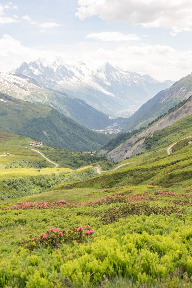 the mountains are covered in green grass and pink flowers