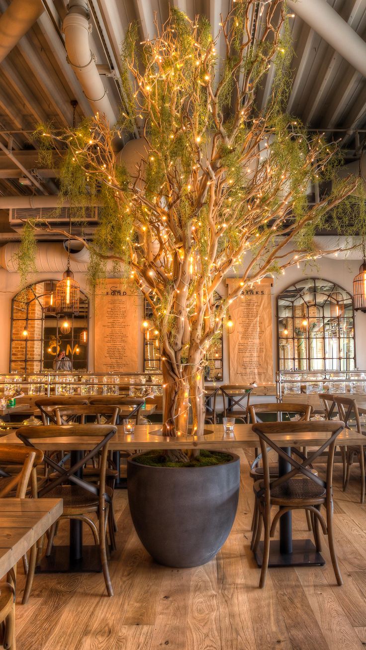 a large potted tree sitting in the middle of a room filled with tables and chairs