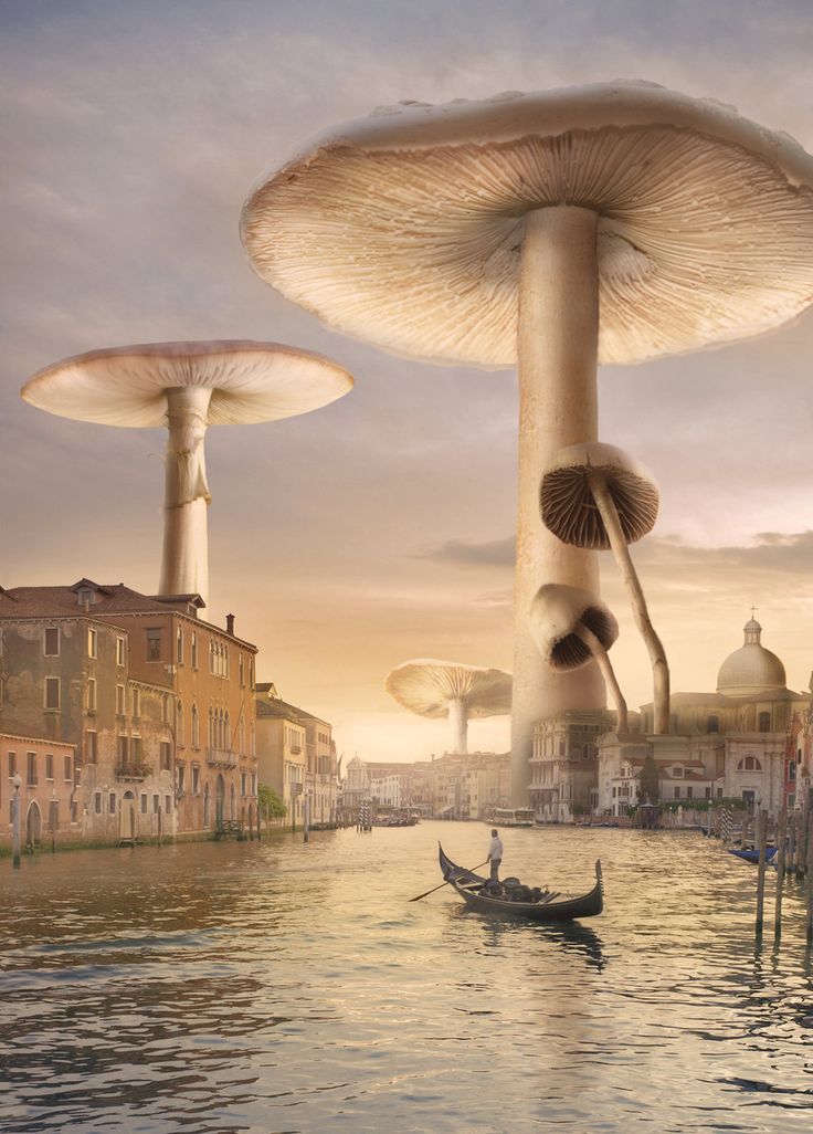 an image of a boat floating in the water with mushrooms on it's side