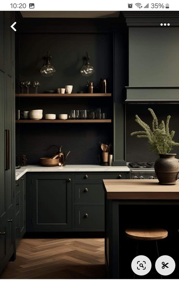 an image of a kitchen with dark green cabinets and wooden counters, plants on the counter