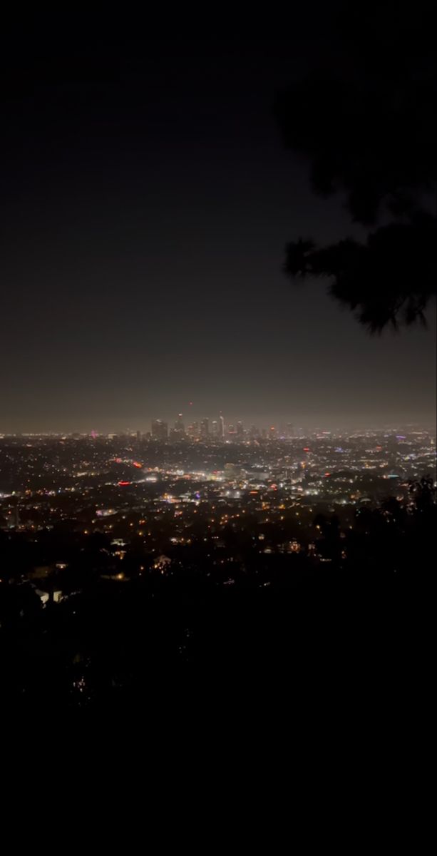 the city lights are lit up in the night sky from atop a hill at twilight