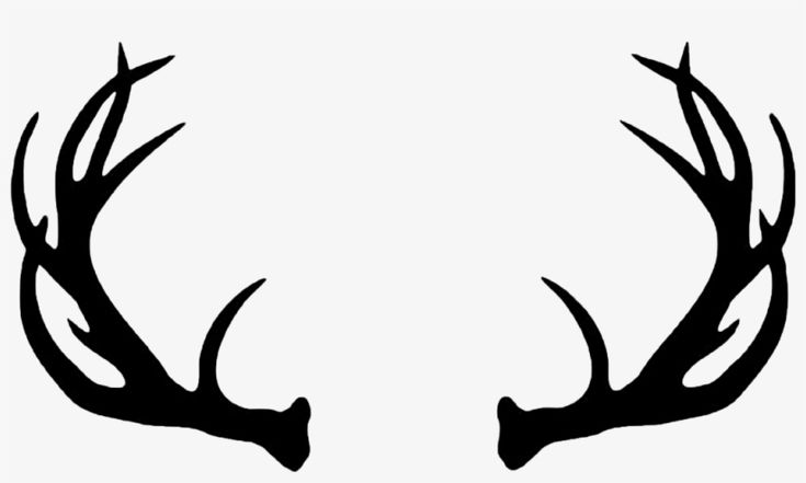 black and white deer antlers on a white background