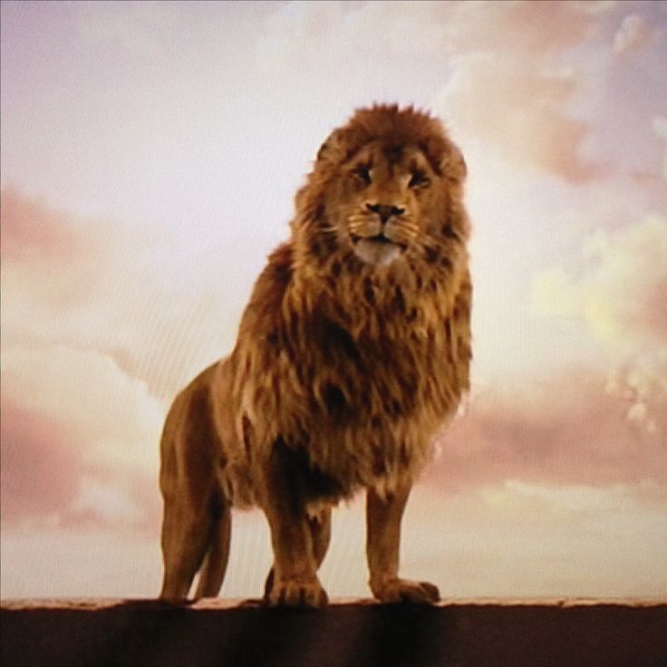 a lion standing in front of a sky with clouds