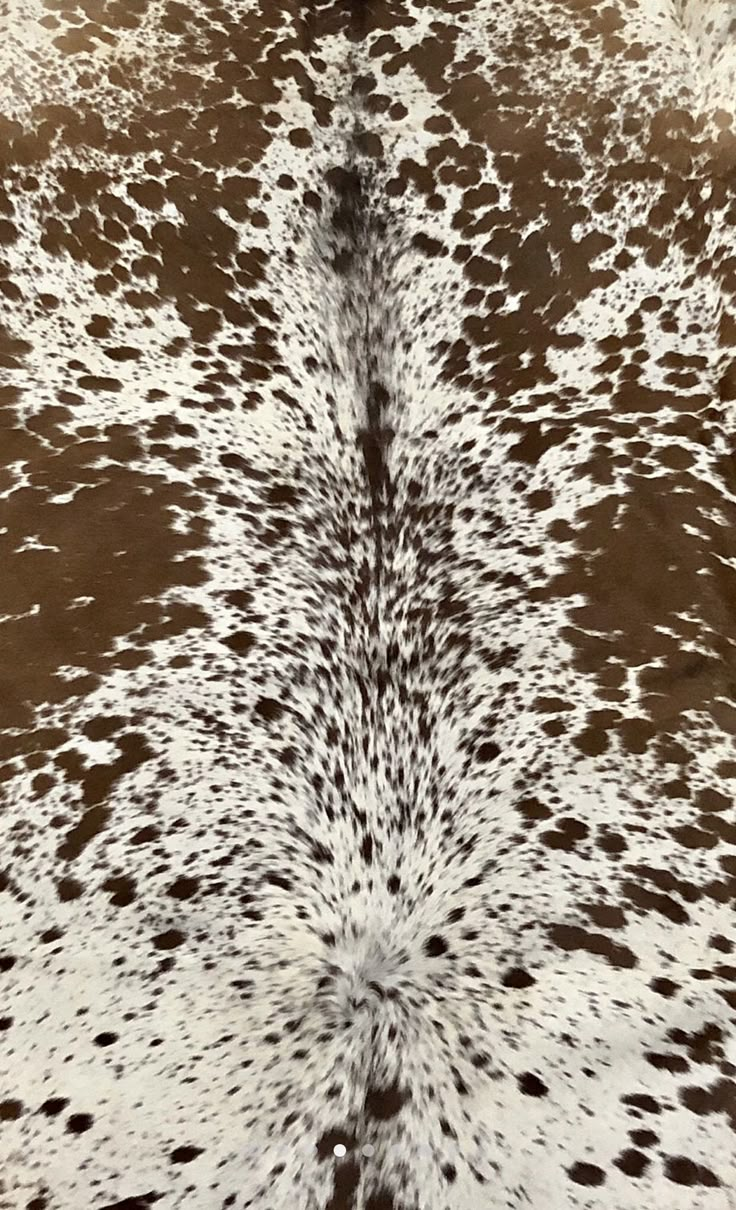 an animal print pattern is shown on the ground