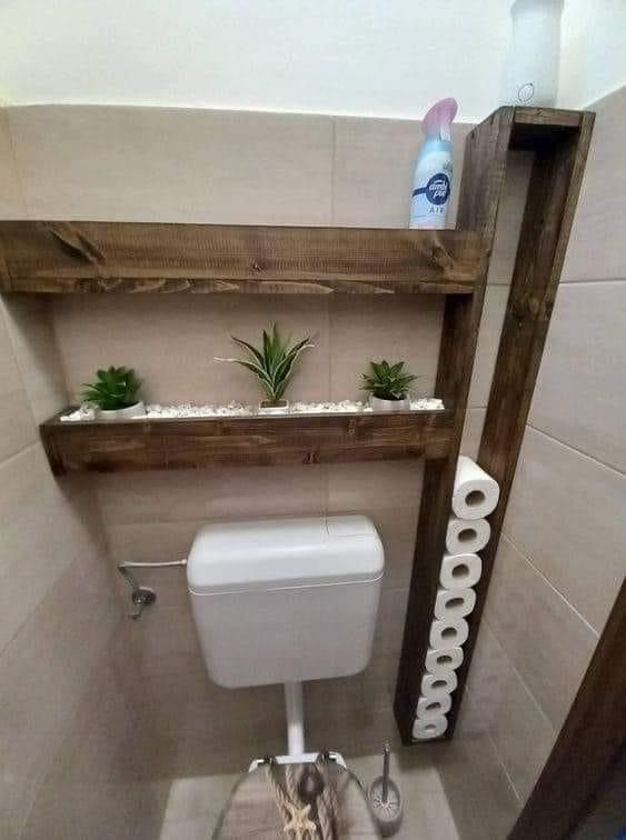 there is a toilet in the bathroom with some plants on the shelf next to it