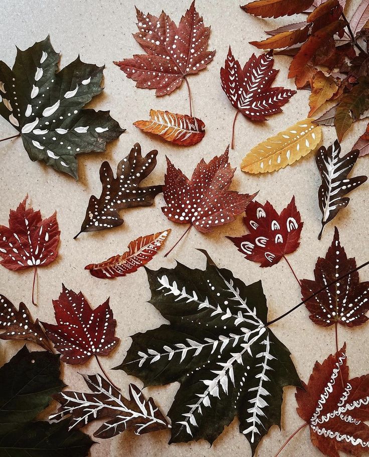 many different colored leaves laying on top of a white countertop next to each other