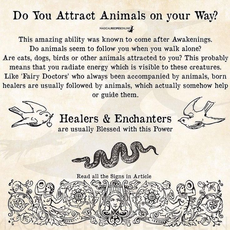 Magical Recipes Online on Instagram: “Do you have these signs? ✨ https://www.magicalrecipesonline.com/2018/01/9-signs-born-healer-school-of-witchcraft.html #magicalrecipesonline” Spiritual Awakening Higher Consciousness, Empath Abilities, Intuitive Empath, Animal Spirit Guides, Angel Guidance, Awakening Quotes, Spiritual Crystals, Spiritual Messages, Spiritual Experience