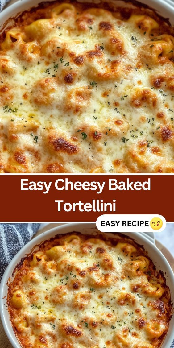 an easy cheesy baked tortellini casserole recipe