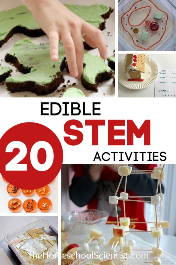 Edible STEM Activities for kids #stemeducation #homeschool #scienceexperiment Food Projects For School, Steam Activities With Food, Food Activities For Middle Schoolers, Edible Stem Activities Elementary, Stem Themed Snacks, Stem Baking Activities, Kitchen Stem Activities, Fun Edible Crafts For Kids, Edible Crafts For Kids Summer