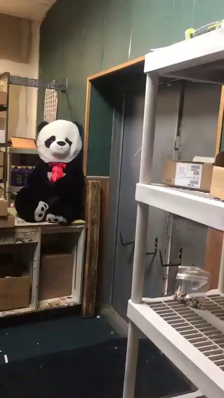 a stuffed panda bear sitting on top of a shelf in a room filled with boxes