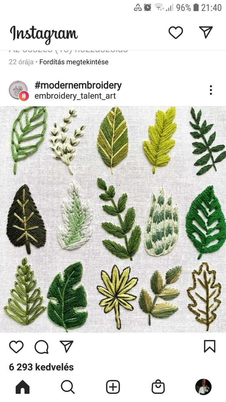 various types of leaves are shown on a piece of white fabric with green and yellow trim