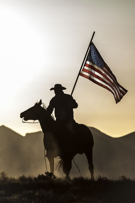 a man riding on the back of a horse holding a flag