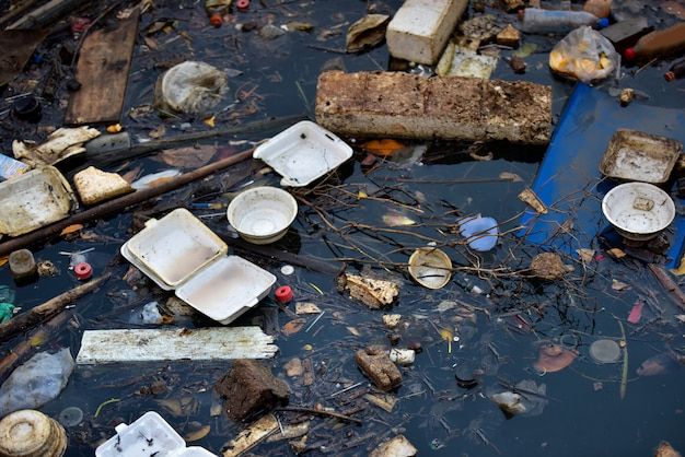 debris and broken dishes are in the water