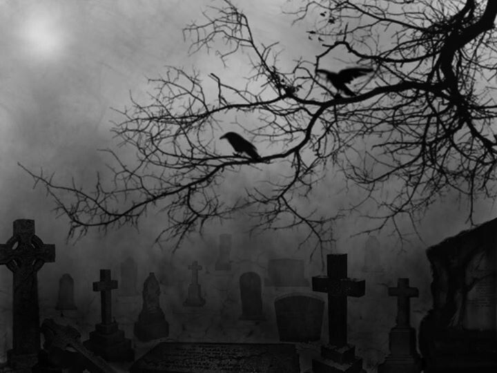 two birds sitting on the headstones of tombstones in a cemetery at night with fog