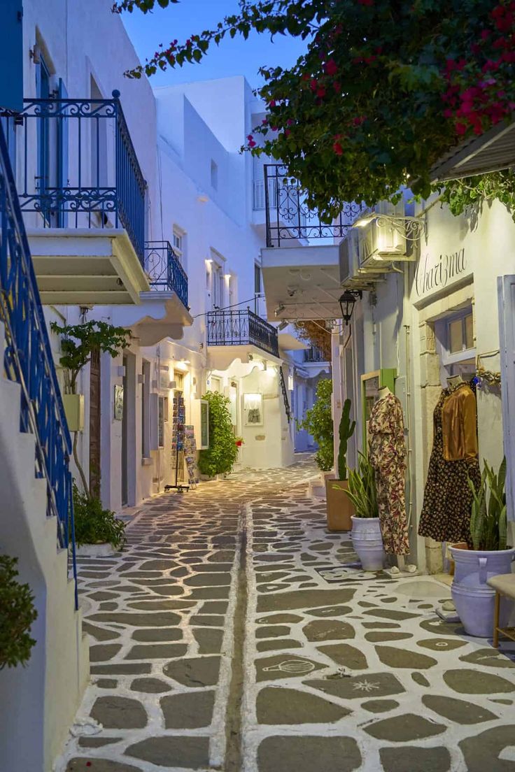 an alley way with potted plants on either side and stairs leading up to balconies