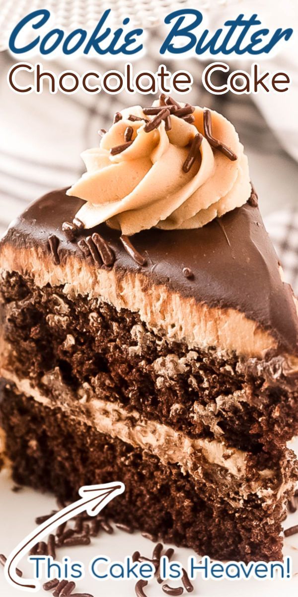 a close up of a piece of cake on a plate with the words cookie butter chocolate cake