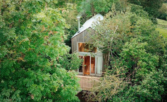 a small cabin nestled in the woods surrounded by trees and bushes, with its windows open