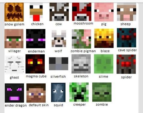 an image of different types of minecraft skins for each character in the game