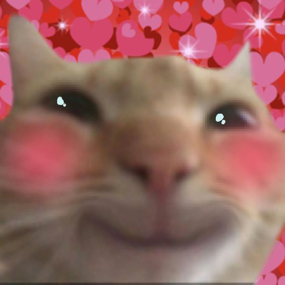 an image of a cat with hearts all over it's face and the caption says, i love you