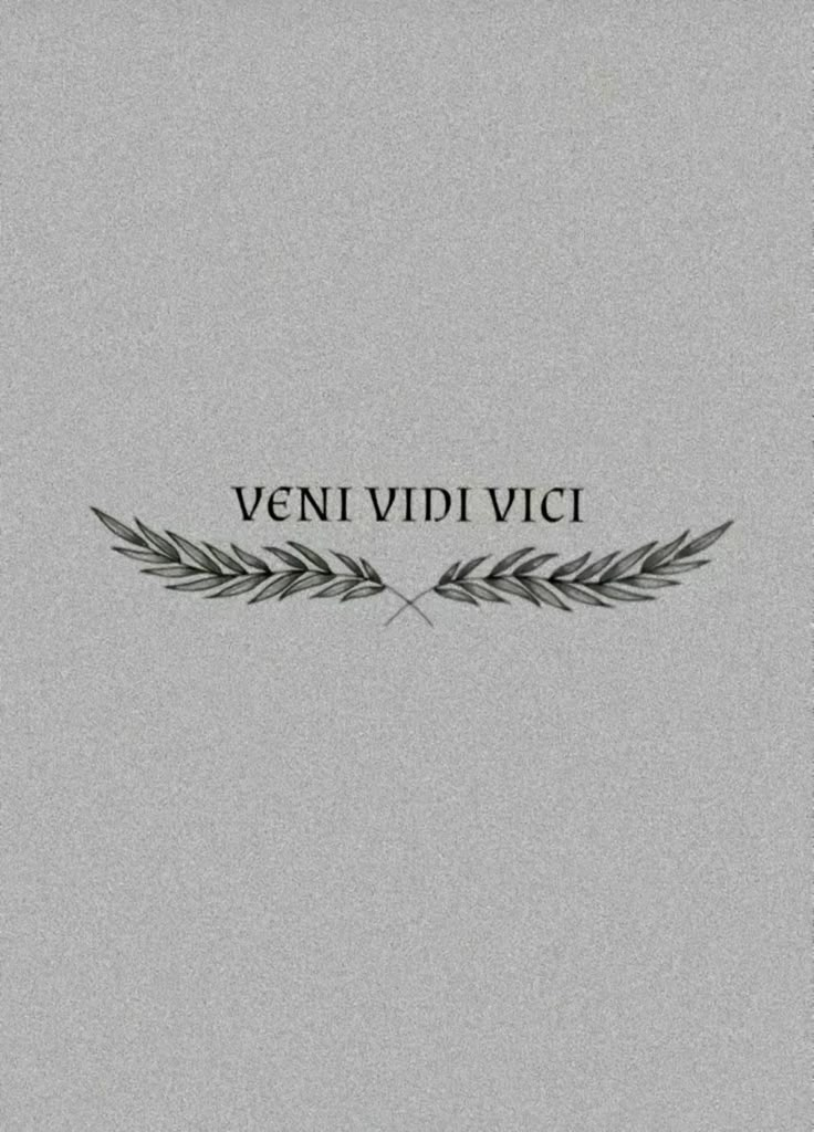 the words vein vidi vici written in black on a gray background