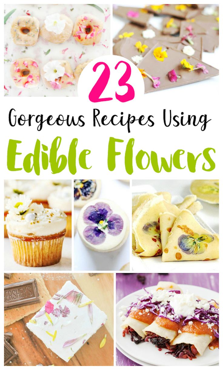 twelve edible flower recipes with text overlay that reads 23 gorgeous recipes using edible flowers