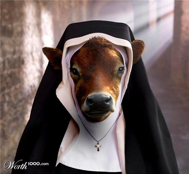 a cow dressed in a nun costume and wearing a hood