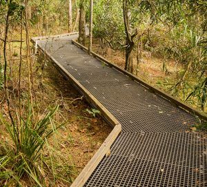 a wooden walkway in the middle of a forest