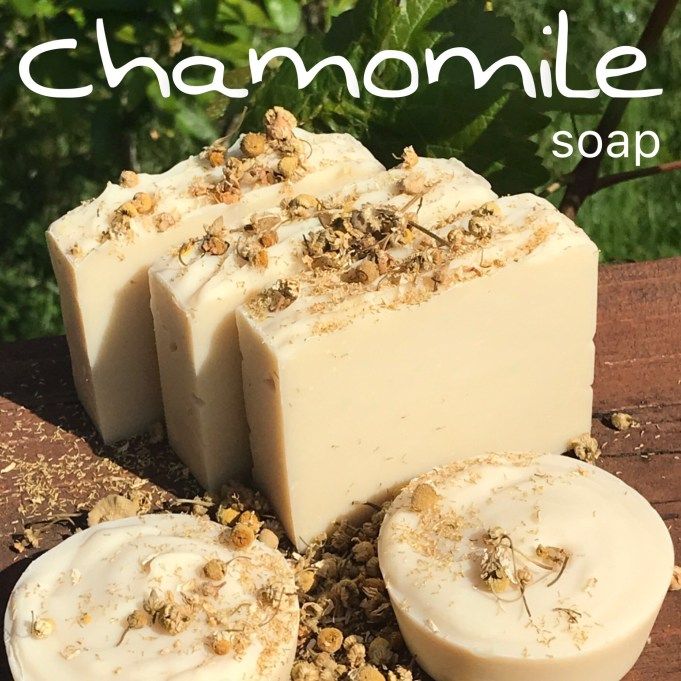 four soap bars with chamomile on top sitting on a wooden table in front of some plants